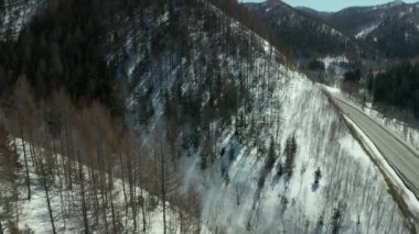 Kışın ormanın havadan görünümü parlak güneşli bir günde bol kar, tepelerde yola yolun kuş bakışı görünümü.