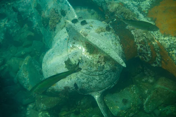 Dykning och undervattensfotografering, fartyget Underwater nedsänkt ligger på havsbotten. Stockbild