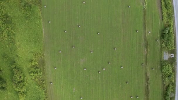 Eine Drohne fliegt an einem Sommertag über ein Feld mit grünem Gras und trockenem, gedrehtem Heu. — Stockvideo