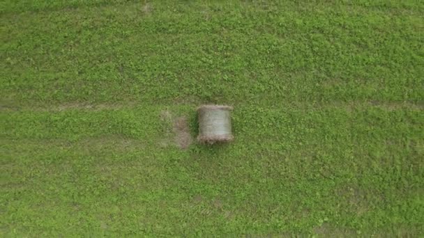 Um drone voando sobre um campo com grama verde e feno seco torcido em um dia de verão . — Vídeo de Stock