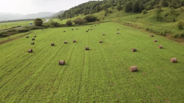 En drönare som flyger över ett fält med grönt gräs och torrt vridet hö på en sommardag. — Stockvideo