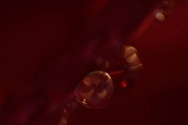 petal, gül, narin gül arka plan, soyutlama, arka plan, çiy çiçek, Ross kırmızı zemin üzerine damla gül,