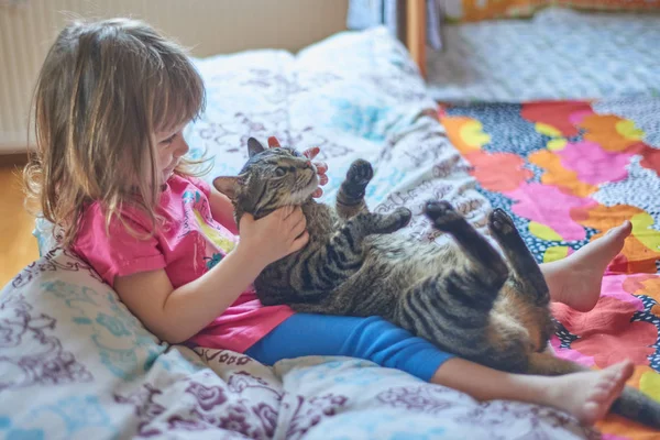 The girl plays with a kitten — Stock Photo, Image