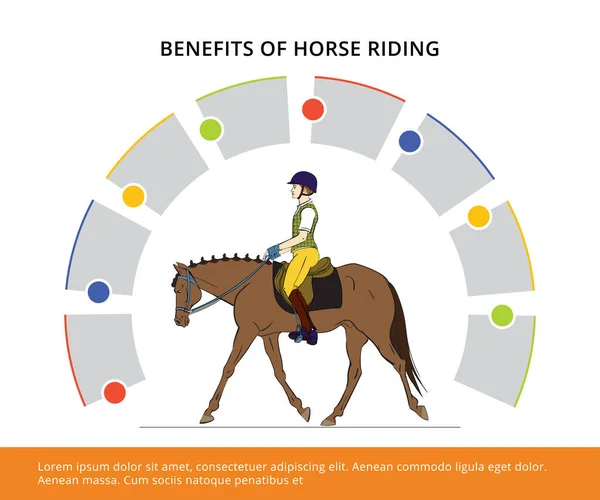 白い背景に馬やライダーと馬の情報グラフィック ウェブやプリントデザインのポスター ベクターイラスト — ストックベクタ