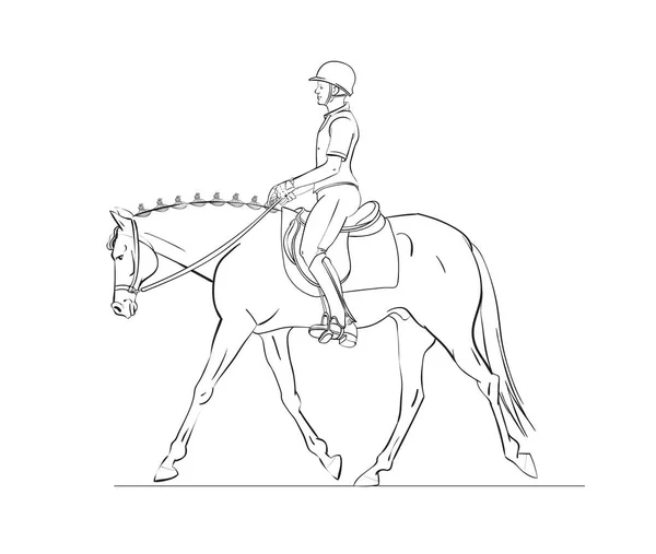 Paard Info Grafisch Met Paard Ruiter Witte Achtergrond Affiche Voor — Stockvector