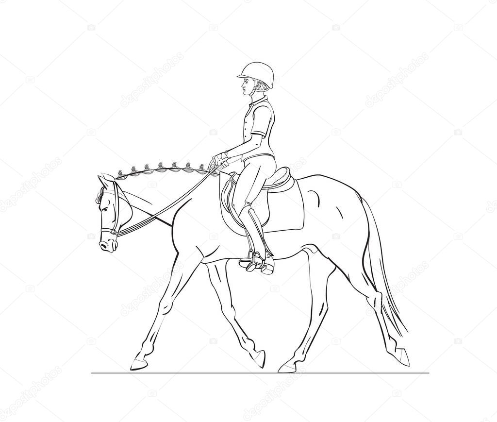 Horse info graphic with horse and rider on white background. Poster for web or print design. Vector illustration.