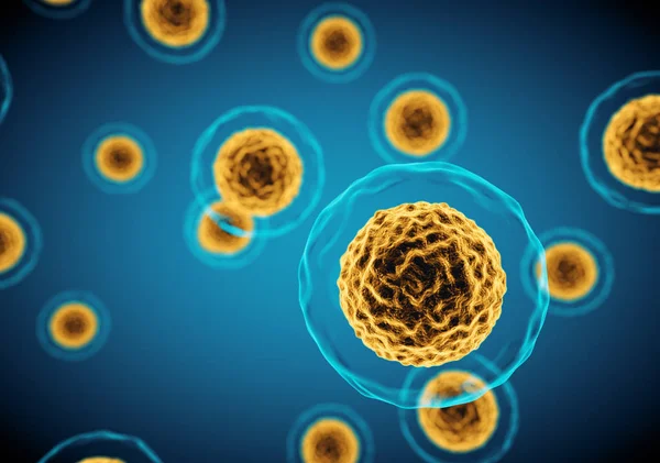 Mikroskop altında hücre görünümü.