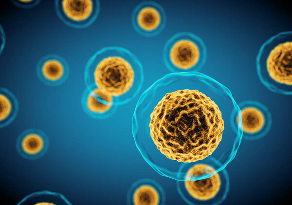 Cells view under a microscope.