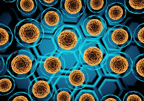 Mikroskop altında hücre görünümü.