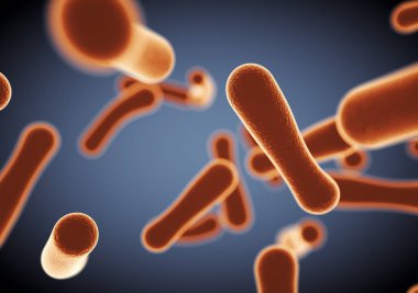 Mikroskop altında hücre görünümü.