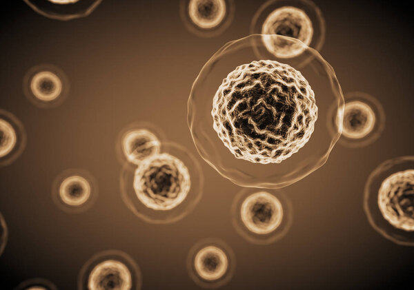 Cells view under a microscope.