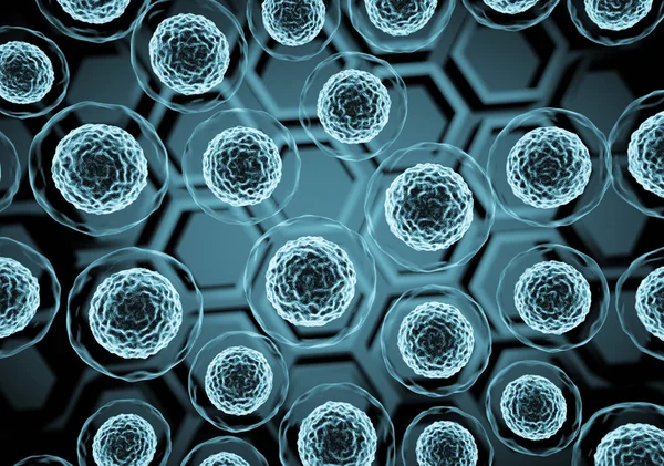 Mikroskop altında hücre görünümü.