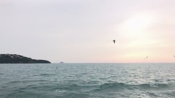 Vue sur l'eau croisière . — Video