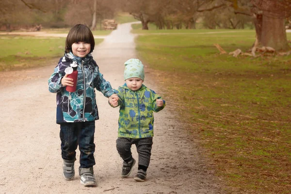 Deux frères marchent main dans la main dans le parc — Photo