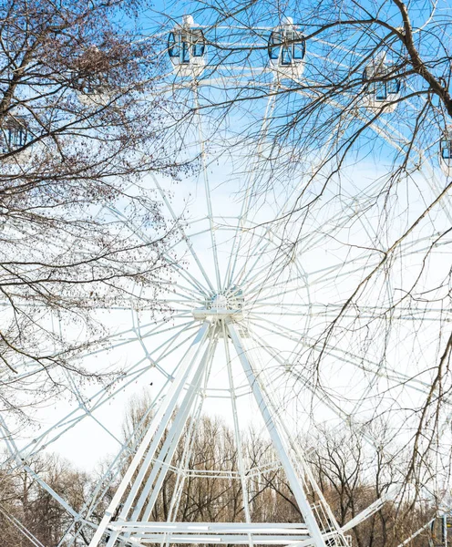 공원에서 산책하고 관람차를 — 스톡 사진