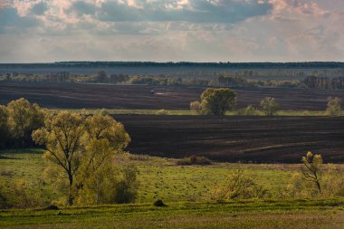 alanları ve güzel bulutlar ile manzara