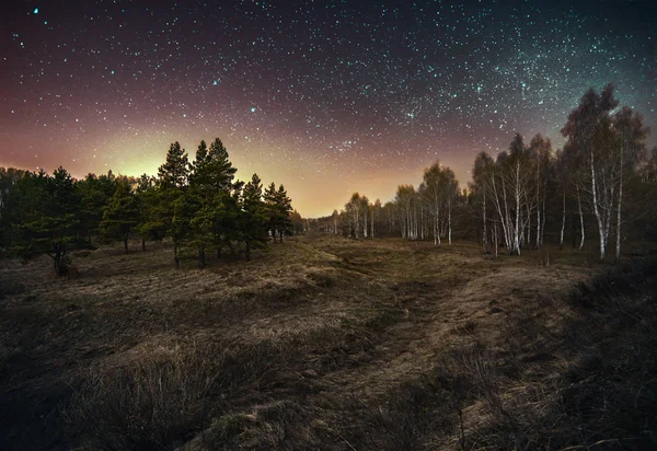 Paisaje Nocturno Vía Láctea Cielo Estrellado — Foto de Stock