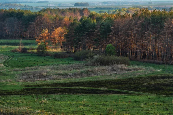 Landschaft Mit Feldern Und Schönen Wolken — Stockfoto