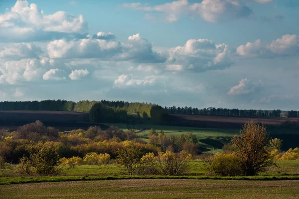 Krajina Poli Krásnými Mraky — Stock fotografie