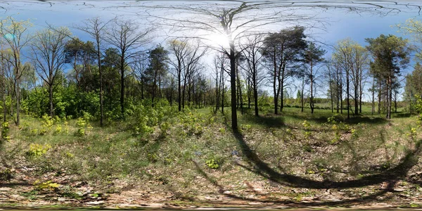 Panorama Sphérique Visite Virtuelle Forêt Par Temps Ensoleillé Ombres Des — Photo