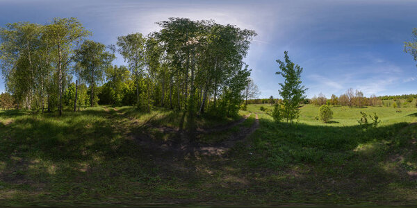 spherical panorama, virtual tour, forest in sunny weather. Shadows from trees, bushes and green leaves