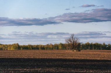 alanları ve güzel bulutlar ile manzara