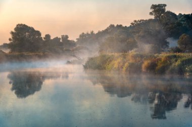 Güneş doğarken sis. Siste ağaçlar. Sis içindeki orman. Nehrin üstünde sis var. Sisli bir sabah. Rus sisi.