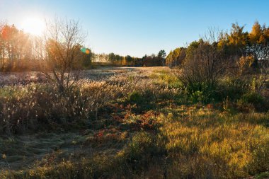 Nehirli sonbahar manzarası. Sarı yapraklar, nehir, sonbahar ormanı, tepeler, sonbahar, Eylül, Ekim. Sonbaharda Rus manzarası. Rusya 'da sonbahar