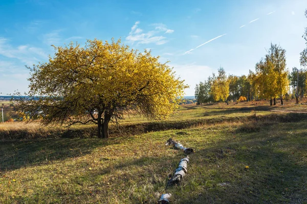 Podzimní Krajina Řekou Žluté Listy Řeka Podzimní Les Kopce Podzim — Stock fotografie
