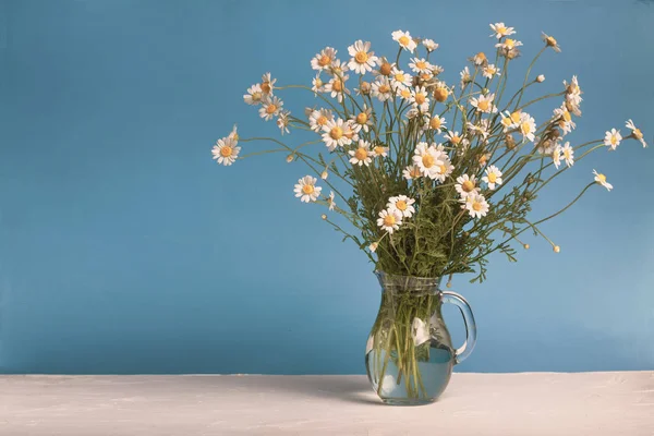 Rural still-life - bouquet of chamomile (Matricaria recutita) in a glass jug, blooming spring flowers, closeup, with space for text