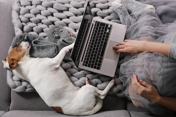 Cozy Woman Covered Warm Soft Merino Wool Blanket Watching Movie — Stock Photo, Image