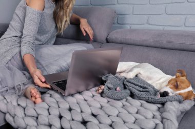 Film izlerken, evde köpek ile rahatlatıcı sıcak yumuşak merinos yün battaniye ile rahat kadın kapalı. Kaygısız, konfor yaşam.