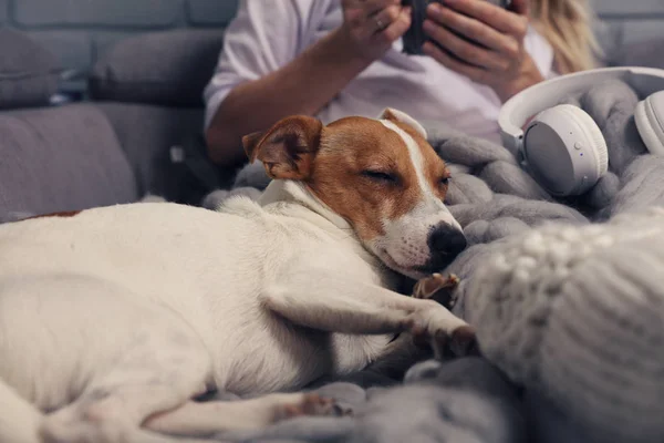 Vrouw in gezellig huishouden thuis ontspannen met slapende hond, cacao drinken, Zachte, comfortabele levensstijl. — Stockfoto