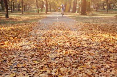 Sonbahar parkında bisiklet süren insanlar. Hafta sonu spor, eğlence ve dinlenme aktivitesi
