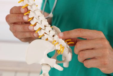 Sırt ağrısı önleyici kavram. Doktor kayropraktik uzmanı sırt ağrısı bel omurilik diski modelini açıklıyor.