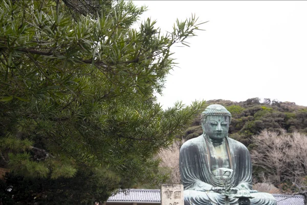 Большая Бронзовая Скульптура Будды Камакура Токио Япония — стоковое фото