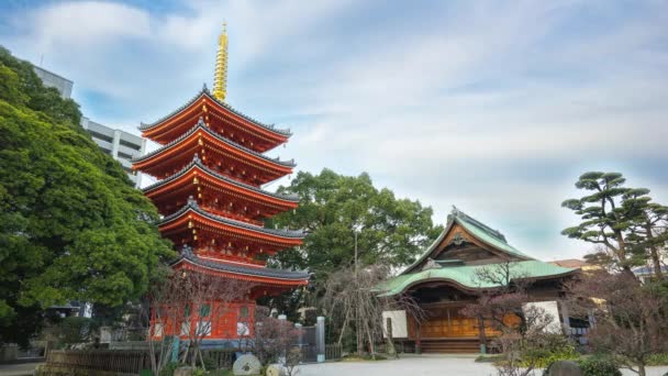 福岡の東長寺のタイムラプス ビデオ — ストック動画