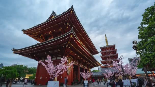 Timelapse 视频的人在日本东京浅草寺寺旅游 Timelapse — 图库视频影像