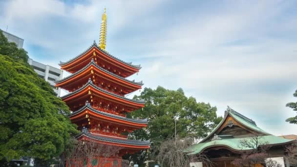 Timelapse Відео Tochoji Храму Проміжок Часу Фукуока Японія — стокове відео