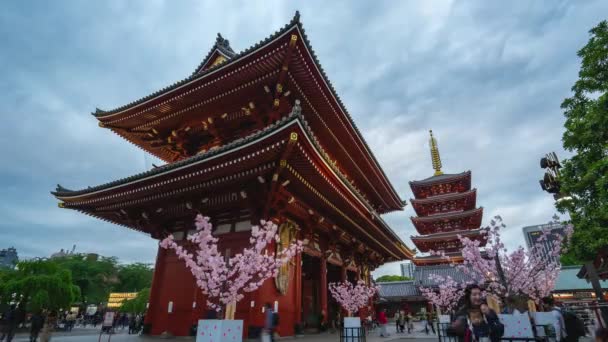 Timelapse Videó Sensoji Templom Nap Éjszakai Idő Telik City Tokyo — Stock videók