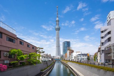 Tokyo, Japonya - 16 Nisan 2018: Tokyo city, Japonya'nın Tokyo görünümü gökyüzü ağaç landmark.