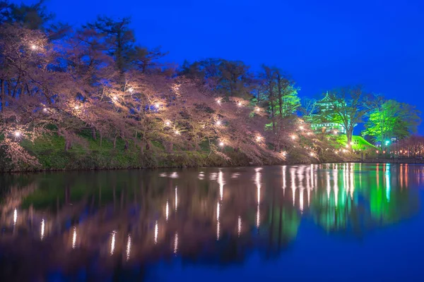 Cherry Blossom Festival Takada Castle Noci Niigata Japonsko — Stock fotografie