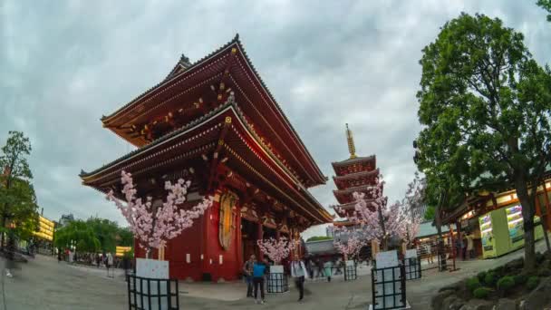 日本东京的浅草寺日夜激光 — 图库视频影像