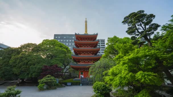 Templo Tochoji Con Puesta Sol Fukuoka Japón Time Lapse — Vídeo de stock