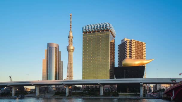 Sumida Floden Med Landmärke Tokyo City Japan — Stockvideo