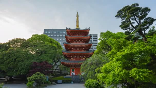 Time Lapse Video Del Tempio Tochoji Fukuoka Giappone — Video Stock