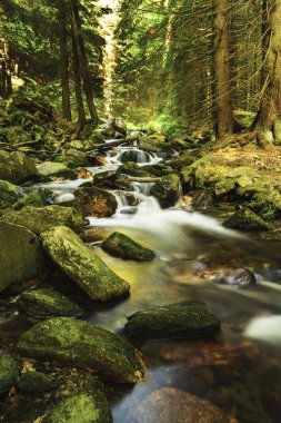 Bila Opava (beyaz Opava) bir Jeseniky dağlarda vahşi dağ akışıdır