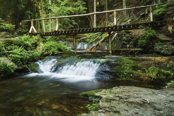 Bila Opava Weißer Opava Ist Ein Wilder Gebirgsbach Jesenischen Gebirge Stockfoto