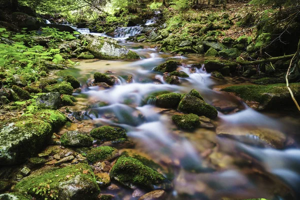Ponikly Creek Egy Hegyi Patak Jeseníky Hegységben Northern Moravia Csehország — Stock Fotó
