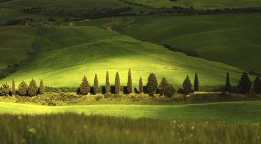 Tuscany, Orta Italya'nin bir güzel, fotojenik manzara olduğunu